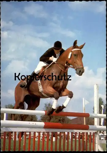ÄLTERE POSTKARTE REITTURNIER VOLLBLUTSTUTE DOMGRÄFIN SPRINGREITEN Pferd Reitsport show jumping Equitation horse cheval