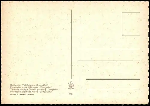 ÄLTERE POSTKARTE REITTURNIER VOLLBLUTSTUTE DOMGRÄFIN SPRINGREITEN Pferd Reitsport show jumping Equitation horse cheval