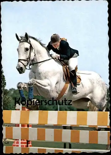 ÄLTERE POSTKARTE REITSPORT PFERD SPRINGREITEN show jumping Sport hippique Equitation horse cheval Barren cpa postcard