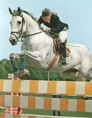 ÄLTERE POSTKARTE REITSPORT PFERD SPRINGREITEN show jumping Sport hippique Equitation horse cheval Barren cpa postcard