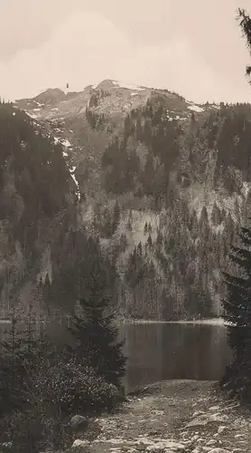 ALTE POSTKARTE FELDSEE SCHWARZWALD BADEN-BADEN 1933 Totalansicht Total Gesamtansicht Ansichtskarte postcard cpa AK