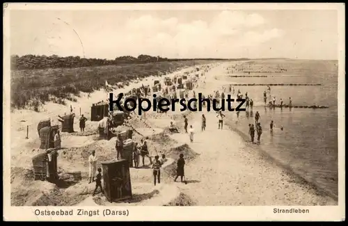 ALTE POSTKARTE OSTSEEBAD ZINGST DARSS STRANDLEBEN STRANDKORB beach plage Ansichtskarte postcard cpa AK