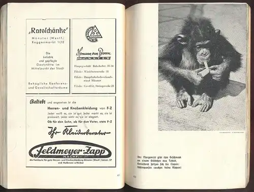 ALTES BUCH HEFT ZOO MÜNSTER 75 JAHRE 124 SEITEN AFFE VERMENSCHLICHT TIGER BÄR GIRAFFE ELEFANT SCHILDKRÖTE WERBUNG OPEL