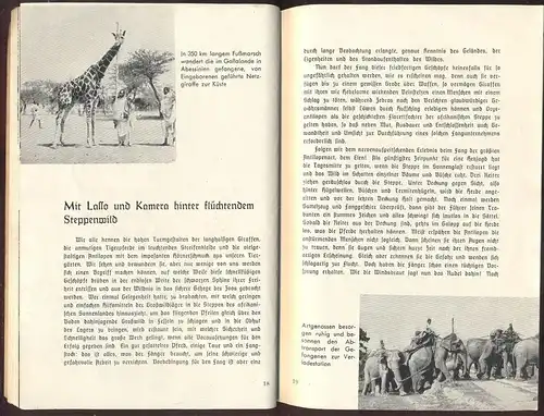 ALTES BUCH HEFT ZOO MÜNSTER 75 JAHRE 124 SEITEN AFFE VERMENSCHLICHT TIGER BÄR GIRAFFE ELEFANT SCHILDKRÖTE WERBUNG OPEL