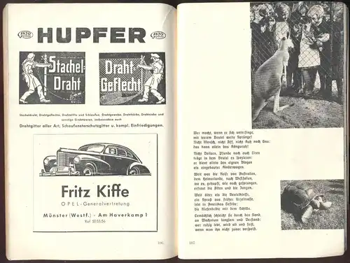 ALTES BUCH HEFT ZOO MÜNSTER 75 JAHRE 124 SEITEN AFFE VERMENSCHLICHT TIGER BÄR GIRAFFE ELEFANT SCHILDKRÖTE WERBUNG OPEL