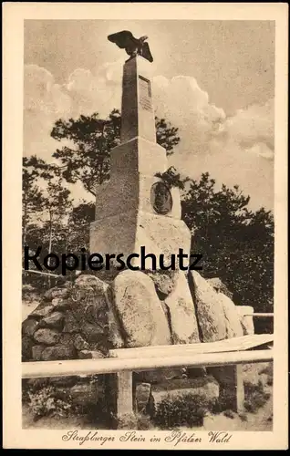 ALTE POSTKARTE STRASSBURGER STEIN IM PFÄLZER WALD PFALZ DENKMAL EDENKOBEN monument Strassburg Strasbourg Ansichtskarte