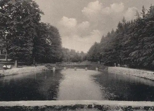 ÄLTERE POSTKARTE FRIEDRICHSBRUNN OSTHARZ Teich See lake bassin Harz Ansichtskarte AK cpa postcard
