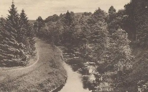 ALTE POSTKARTE PARTIE AN DER NEISSE BAD LANGENAU Dlugopole Zdroj Habelschwerdt Bystrzyca Klodzka Schlesien Ansichtskarte