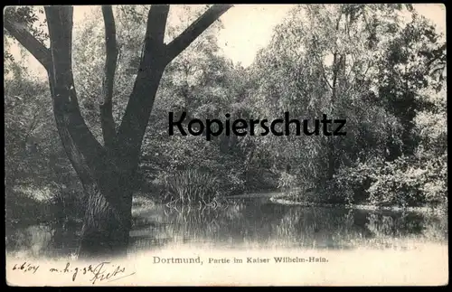 ALTE POSTKARTE DORTMUND PARTIE IM KAISER WILHELM HAIN 1904 Park Baum tree arbre Ansichtskarte AK postcard cpa