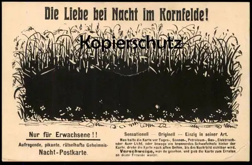 ALTE NACHT-POSTKARTE LIEBE BEI NACHT IM KORNFELDE NUR FÜR ERWACHSENE HUMOR KORNFELD sex humour at night postcard cpa AK