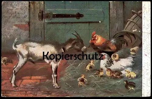 ALTE KÜNSTLER POSTKARTE E. DORNO MÜNCHEN ZIEGE HAHN HUHN KÜKEN goat chicken cock chevre coq poule Ansichtskarte cpa AK