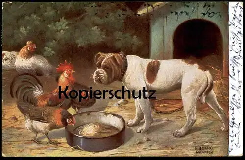 ALTE KÜNSTLER POSTKARTE E. DORNO MÜNCHEN HUND HAHN HUHN HÜHNER TROG dog chicken cock chien coq poule Ansichtskarte cpa
