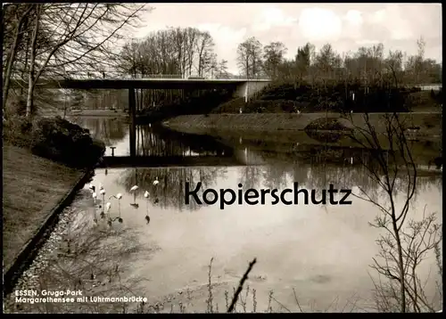 ALTE POSTKARTE ESSEN MARGARETHENSEE MIT LÜHRMANNSBRÜCKE GRUGA-PARK Ansichtskarte cpa postcard AK