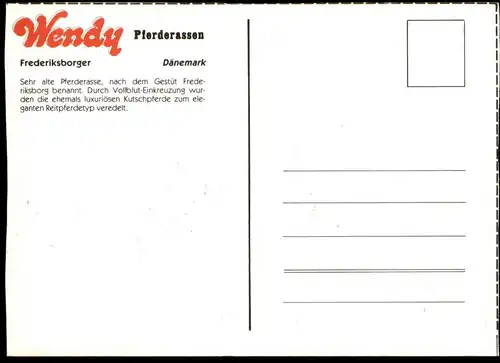 ÄLTERE POSTKARTE WENDY PFERDERASSEN FREDERIKSBORGER PFERDE Weide horses horse cheval Pferd Blesse Ansichtskarte postcard
