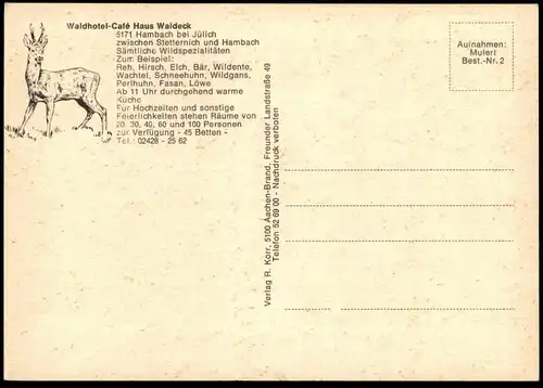 ÄLTERE POSTKARTE HAMBACH BEI JÜLICH WALDHOTEL HAUS WALDECK BEI STETTERNICH Niederzier Wildspezialitäten Elch Bär Löwe