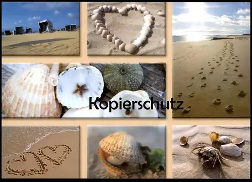 POSTKARTE SCHÖNE GRÜSSE VON DER SEE MEER MUSCHEL COQUILLAGE DE MER sea shell Krebs crab crabe postcard Ansichtskarte cpa