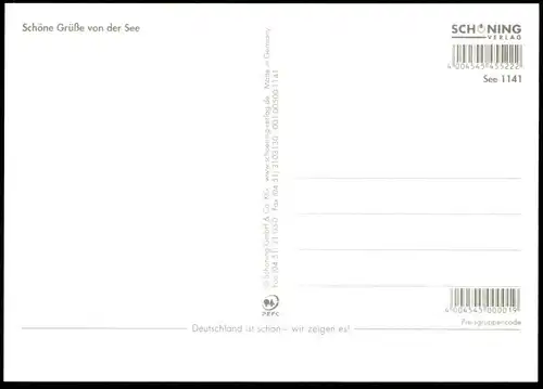 POSTKARTE SCHÖNE GRÜSSE VON DER SEE MEER MUSCHEL COQUILLAGE DE MER sea shell Krebs crab crabe postcard Ansichtskarte cpa