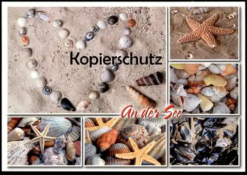 POSTKARTE AN DER SEE MEER MUSCHEL COQUILLAGE DE MER Sea Shell Seestern seastar etoile shell Herz postcard Ansichtskarte