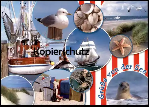 POSTKARTE GRÜSSE VON DER SEE KUTTER GREETSIEL MEER MUSCHEL COQUILLAGE DE MER Seestern etoile shell postcard AK cpa