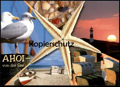 POSTKARTE AHOI VON DER SEE MEER MUSCHEL COQUILLAGE DE MER Möwe seastar Seestern etoile shell postcard Ansichtskarte cpa