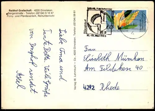 ÄLTERE POSTKARTE REITHOF GRAFSCHAFT DINSLAKEN Pferde Pferd Stockbett Ausritt Reiterhof Ansichtskarte AK cpa postcard