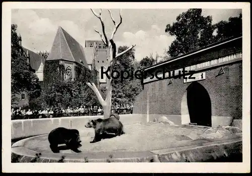 ÄLTERE POSTKARTE BERLIN BÄRENZWINGER DDR PROPAGANDA Es lebe [...] das Lager des Friedens der Demokratie Bär ours bear AK