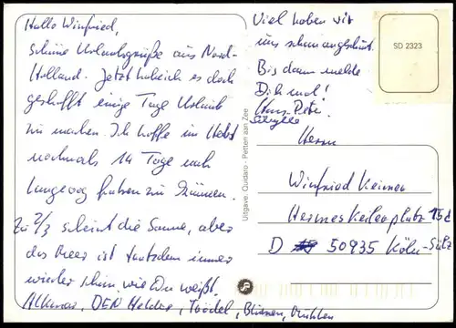 ÄLTERE POSTKARTE PETTEN AAN ZEE STRANDIMPRESSIE Strandimpressionen beach plage Strand Watt Meer Ansichtskarte postcard