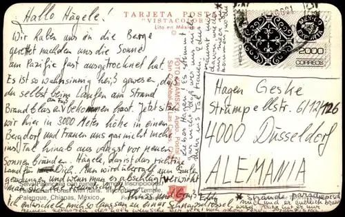 ÄLTERE POSTKARTE SELVA PALENCANA CON RUINAS MEXICO MEXIQUE SELVA PALENQUE TEMPLO DE LAS INSCRIPCIONES CHIAPAS postcard