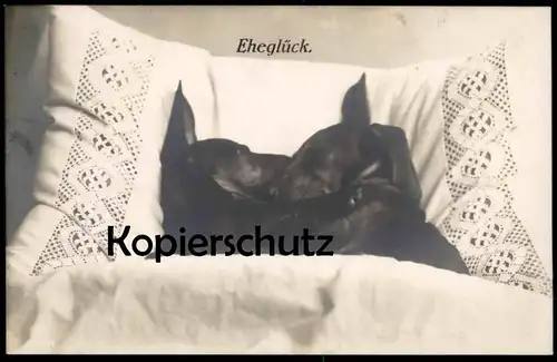 ALTE POSTKARTE DACKEL EHEGLÜCK EHE SPITZE Bett marriage bed mariage vermenschlicht Ehebett teckel basset dachshund dog