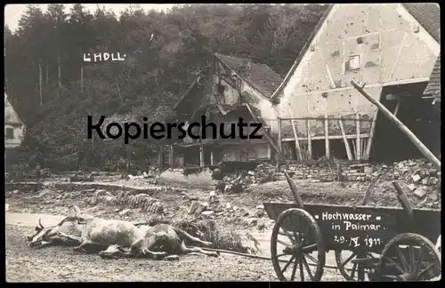 ALTE POSTKARTE HOCHWASSER IN PAIMAR GRÜNSFELD ÜBERSCHWEMMUNG 29.05.1911 Flut Flood inondation Kuh vache cow cpa postcard