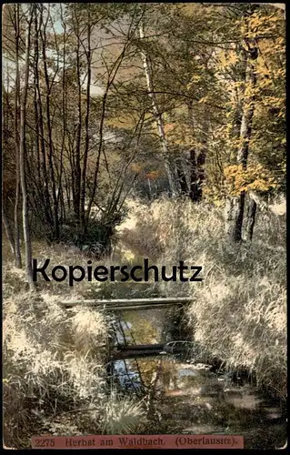 ALTE POSTKARTE HERBST AM WALDBACH OBERLAUSITZ Lausitz autumn Photochromie Ansichtskarte postcard AK cpa