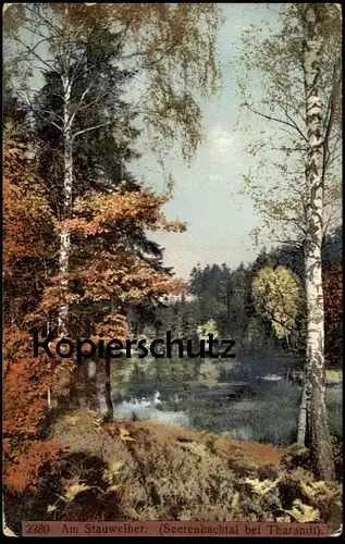 ALTE POSTKARTE AM STAUWEIHER SEERENBACHTAL BEI THARANDT Dorfhain Seerenbach Weiher Teich Photochromie Ansichtskarte cpa