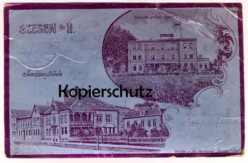 ALTE LITHO POSTKARTE SEESEN AM HARZ JACOBSON SCHULE SYNAGOGE KURHOTEL GRÜNER JÄGER synagogue shul Ansichtskarte postcard
