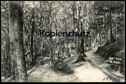 ALTE POSTKARTE BADEN-BADEN IM FRIESENWALD BEIM WALDSEE Bauminschrift Baum-Inschrift tree inscription arbre cpa postcard