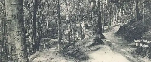 ALTE POSTKARTE BADEN-BADEN IM FRIESENWALD BEIM WALDSEE Bauminschrift Baum-Inschrift tree inscription arbre cpa postcard
