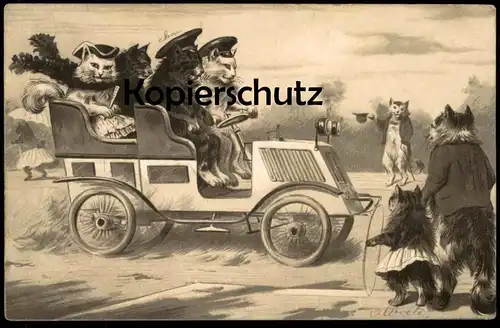 ALTE POSTKARTE KATZEN ALS CHAUFFEUR AUTOMOBIL 1914 CATS Katze cat chat chats car voiture Ansichtskarte postcard