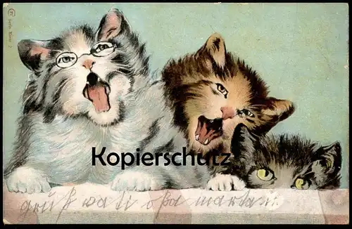 ALTE POSTKARTE VERMENSCHLICHTE FAUCHENDE KATZEN BRILLE TRAGEND Mieze glasses lunettes Katze angry cat cats chat postcard
