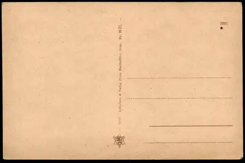 ALTE POSTKARTE BIRKFELD STEIERMARK PANORAMA Austria Österreich Bahnhof Zug Waggons station gare Ansichtskarte postcard