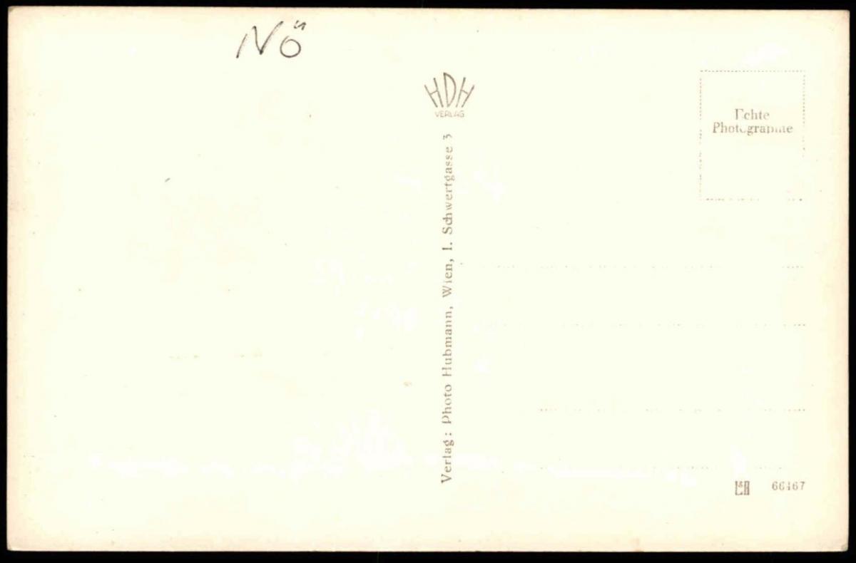 ALTE POSTKARTE BLICK VOM BISAMBERG AUF KORNEUBURG Niederösterreich ...