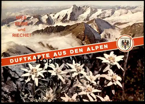 ÄLTERE POSTKARTE DUFTKARTE AUS DEN ALPEN EDELWEISS KIEFERNDUFT REIBE HIER UND RIECHE AK cpa postcard Ansichtskarte
