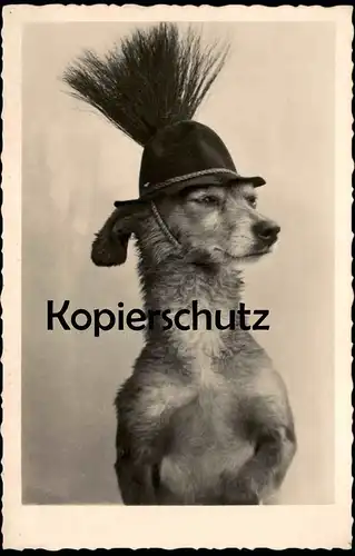 ALTE POSTKARTE HUND VERMENSCHLICHT JAGDHUT GAMSBART TRACHTENHUT humanized dog chien Ansichtskarte postcard cpa AK