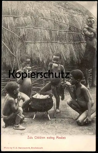 ALTE POSTKARTE ZULU CHILDREN EATING MEALIES AFRICA Afrika meal Kinder Kind child girl boy girls boys CapeTown Rondebosch