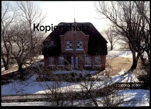 ÄLTERE POSTKARTE WINTER HINTERM DEICH HUSUM SIMONSBERG Friesenhaus Haus Ansichtskarte postcard cpa AK