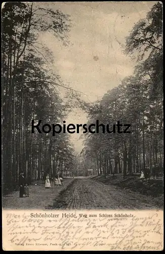 ALTE POSTKARTE BERLIN SCHÖNHOLZER HEIDE WEG ZUM SCHLOSS SCHÖNHOLZ Niederschönhausen Ansichtskarte AK postcard cpa