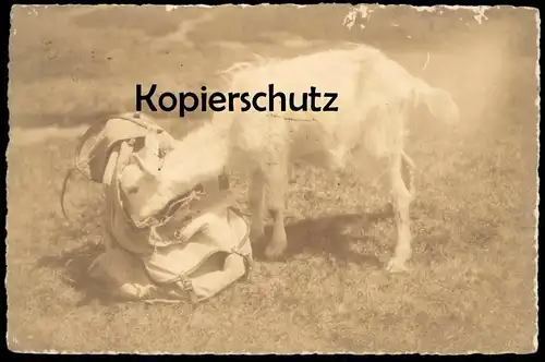 ALTE POSTKARTE ZIEGE GITZI AUF BESUCH Chèvre Goat Capre Geiten Rucksack Adelboden Ansichtskarte cpa postcard AK