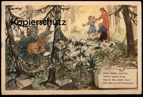 ALTE POSTKARTE REICHSSTELLE FÜR NATURSCHUTZ Tierschutz Reh Hase Tiere Tier animal animals AK Ansichtskarte cpa postcard