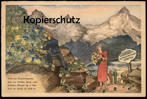 ALTE POSTKARTE REICHSSTELLE FÜR NATURSCHUTZ PFLANZENSCHUTZ Pflanzen Blumen flowers fleurs Verbot Ansichtskarte postcard