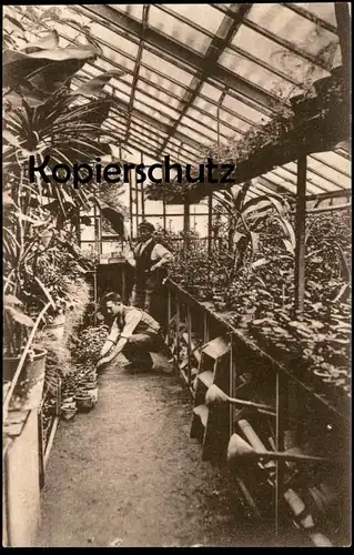 ALTE POSTKARTE GEWÄCHSHAUS GENESUNGSHEIM REINDLITZ RYJICE CZECH REPUBLIC Botanik greenhouse Böhmen Ansichtskarte AK cpa