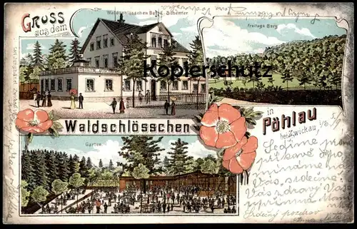 ALTE LITHO POSTKARTE GRUSS AUS DEM WALDSCHLÖSSCHEN IN PÖHLAU BEI ZWICKAU E. Schettler Freitags Berg Ansichtskarte AK cpa