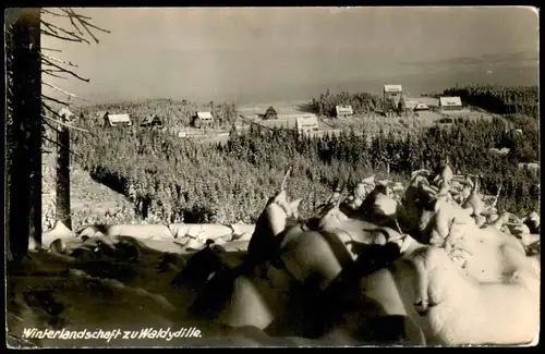 ALTE POSTKARTE OBERBÄRENBURG WINTERLANDSCHAFT ZU WALDIDYLLE ERZGEBIRGE Altenberg Schnee snow Winter Idylle Ansichtskarte